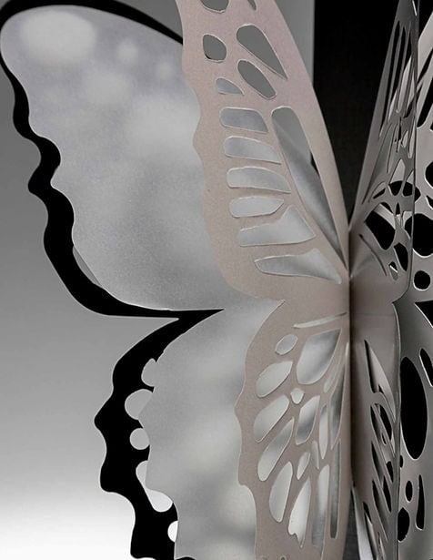 7e73a7_a650376df0f74c1e8c935c89f